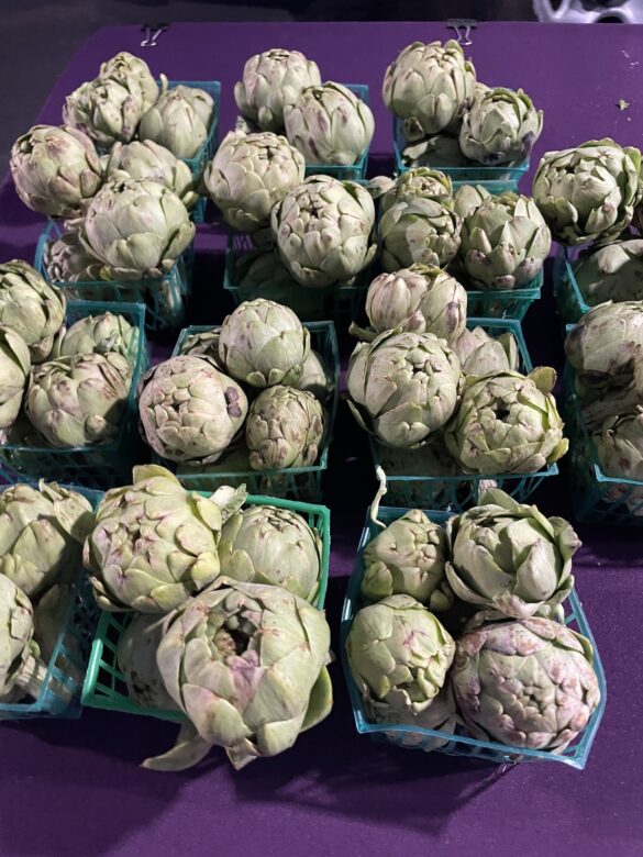 artichoke_basket-suncoast_farms artichoke_basket-suncoast_farms