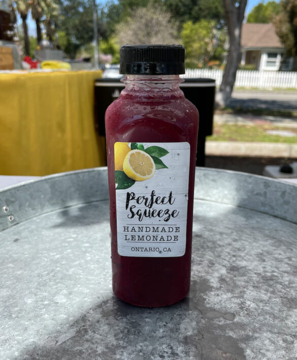blueberry_lemonade-perfect_squeeze blueberry_lemonade-perfect_squeeze