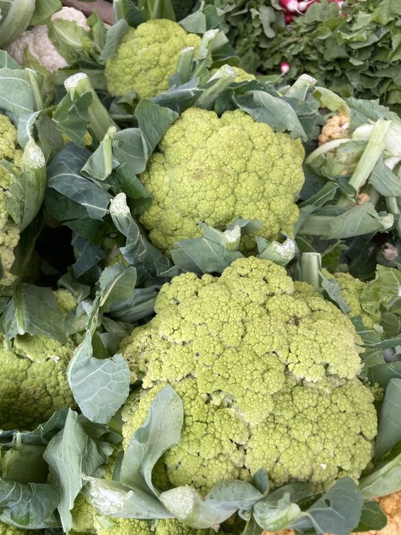 green_cauliflower-underwood_family_farm green_cauliflower-underwood_family_farm