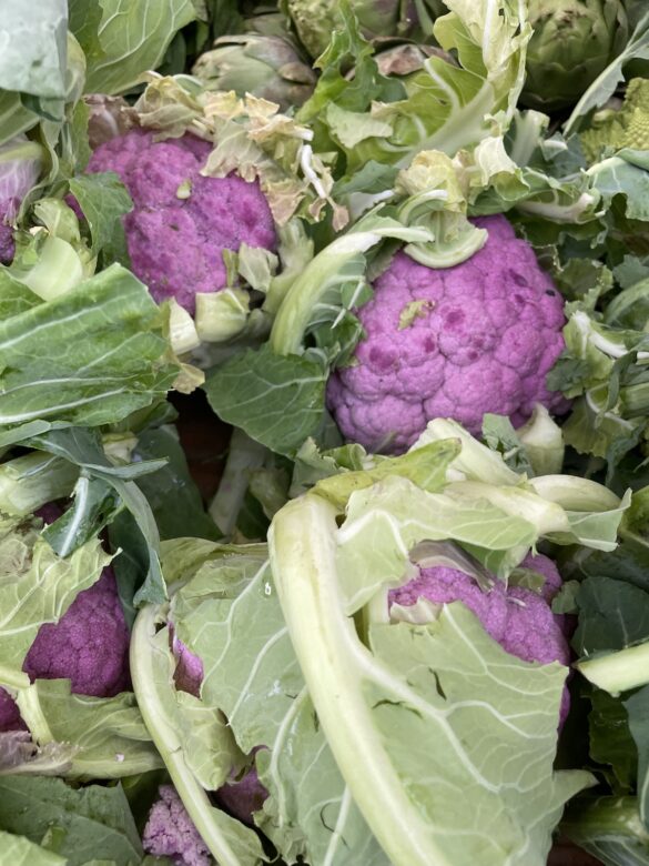 purple_cauliflower-underwood_family_farm purple_cauliflower-underwood_family_farm