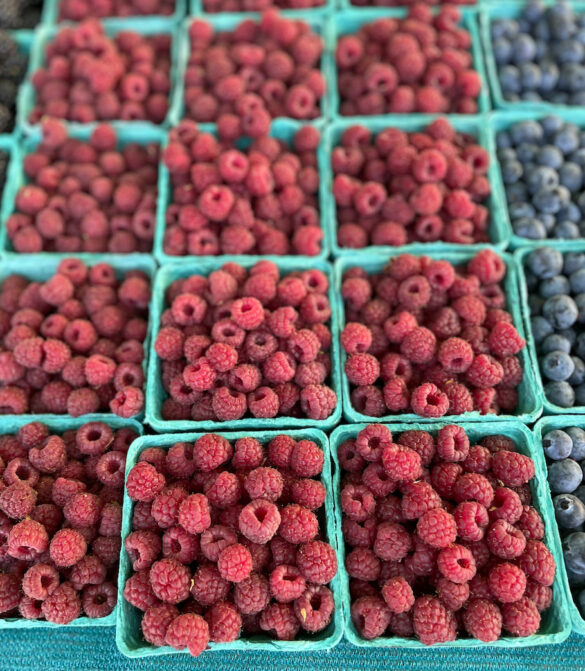 raspberry-gutierrez_farm raspberry-gutierrez_farm