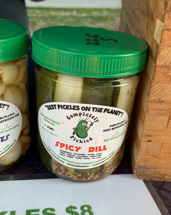 spicy_dill-completely_pickled spicy_dill-completely_pickled