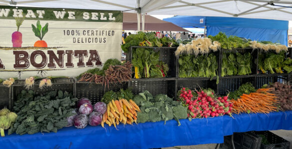 vegetables-finca-bonita-2 vegetables-finca-bonita-2