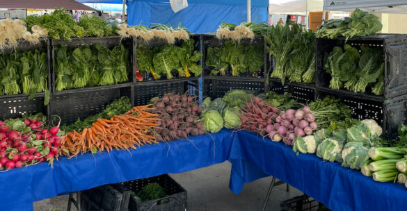 vegetables-finca-bonita-3 vegetables-finca-bonita-3