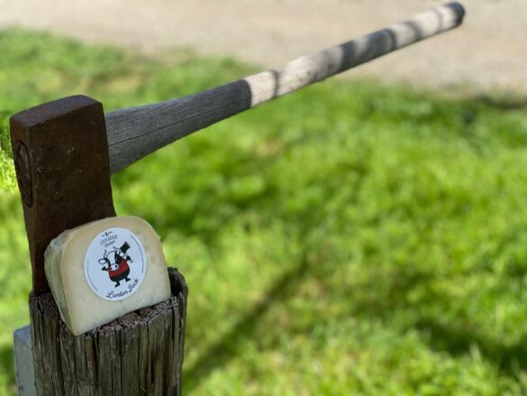 lumberjack-stepladder-7 lumberjack-stepladder-7