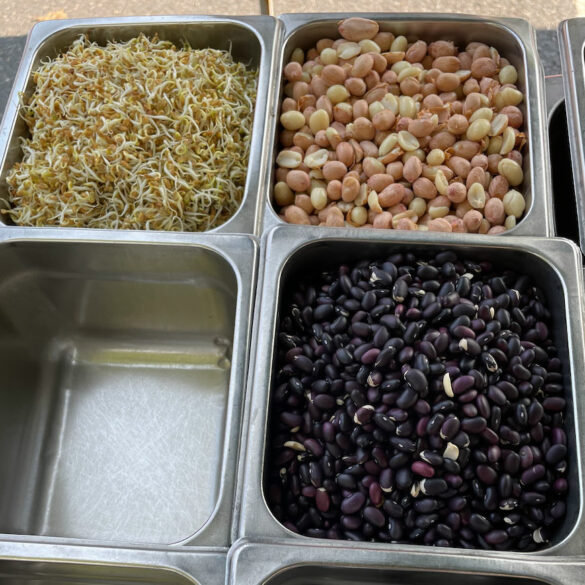 seeds_beans-bolanos_sprouts-2 seeds_beans-bolanos_sprouts-2