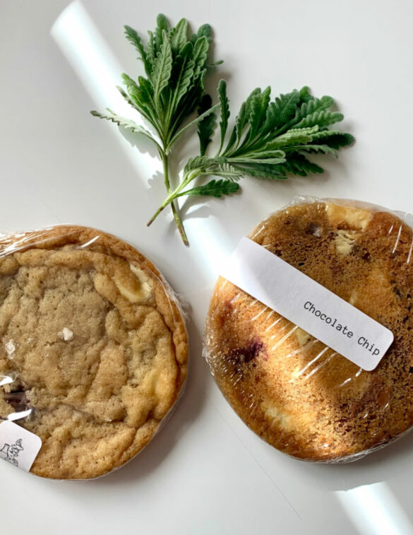 chocolate_chip-cairn_cookies-2 chocolate_chip-cairn_cookies-2