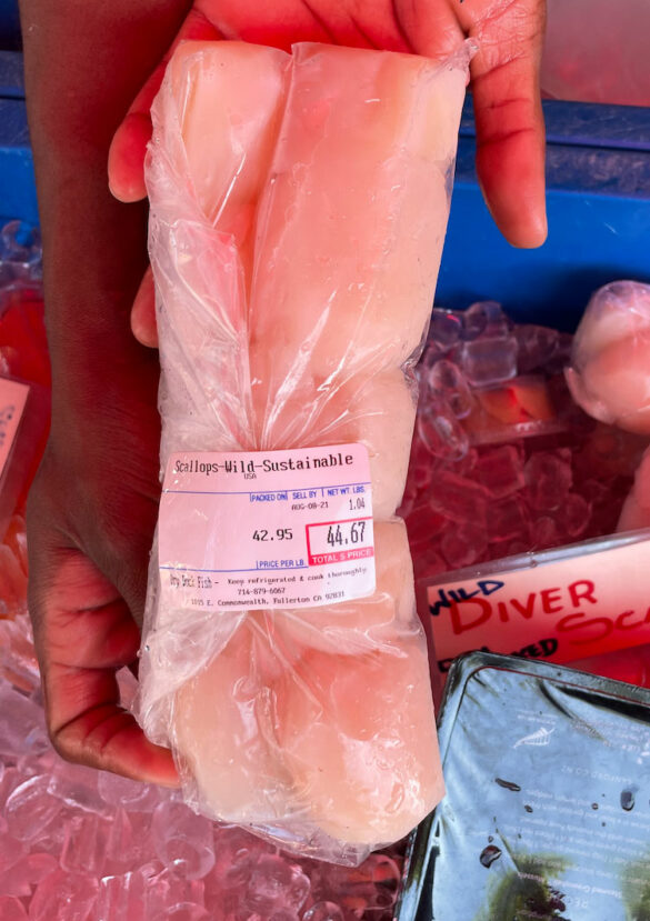 diver_scallops-dry_dock_fish-2 diver_scallops-dry_dock_fish-2