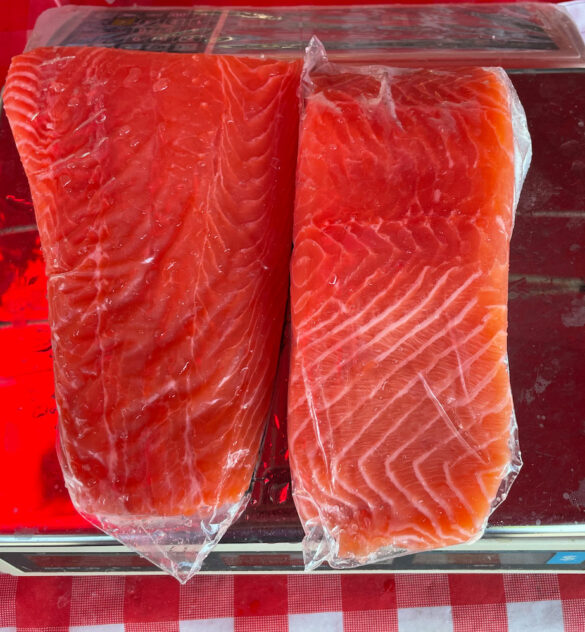 sushi_salmon-dry_dock_fish-2 sushi_salmon-dry_dock_fish-2