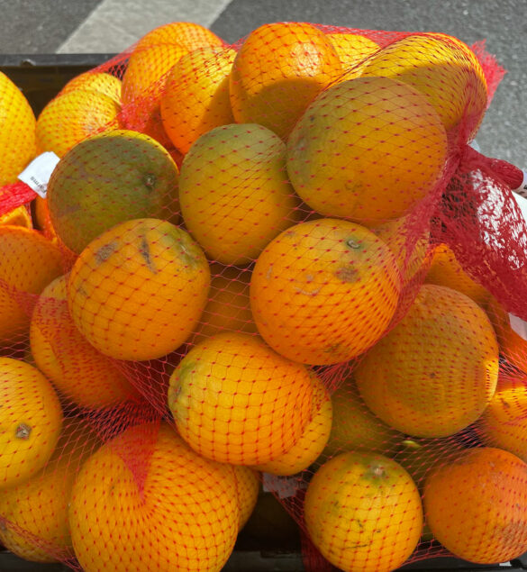valencia_oranges_bag-cmcfarlin_family_farms valencia_oranges_bag-cmcfarlin_family_farms