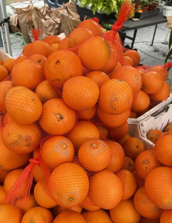 cara_cara2-kens_top_notch cara_cara2-kens_top_notch