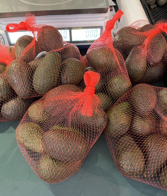 hass_avocados-gerwig_avocado_ranch hass_avocados-gerwig_avocado_ranch