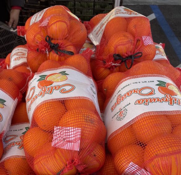 navel_oranges_large_bag-garcia_farming navel_oranges_large_bag-garcia_farming